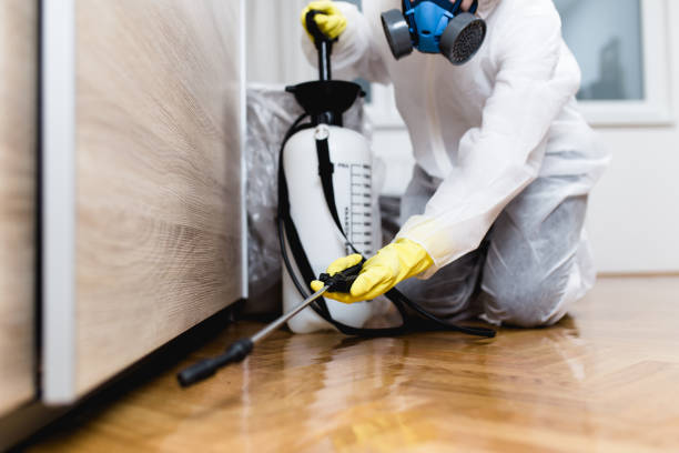Best Termite Control Services  in Overland, MO