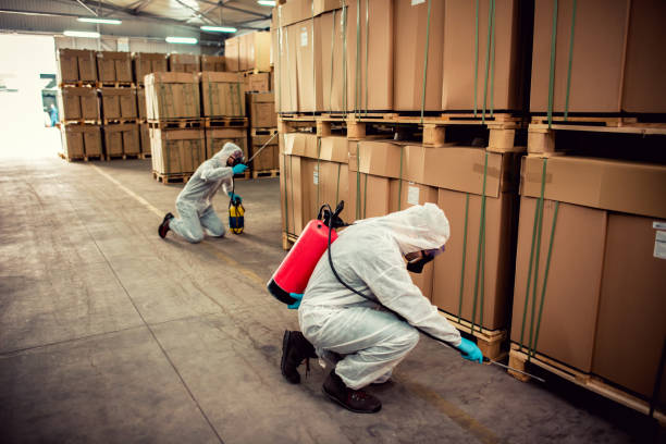 Best Best Pest Control Companies  in Overland, MO