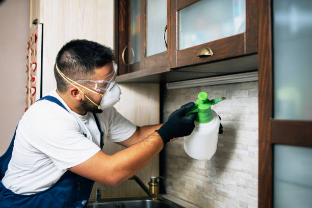 Pest Control for Restaurants in Overland, MO