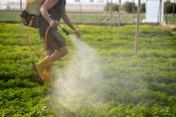 Best Exterminator Services  in Overland, MO