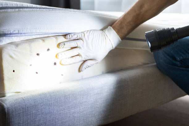 Best Pest Control for Restaurants  in Overland, MO