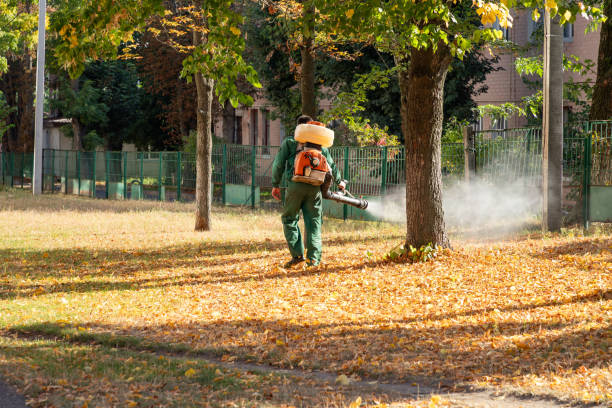Best Wildlife Control Services  in Overland, MO